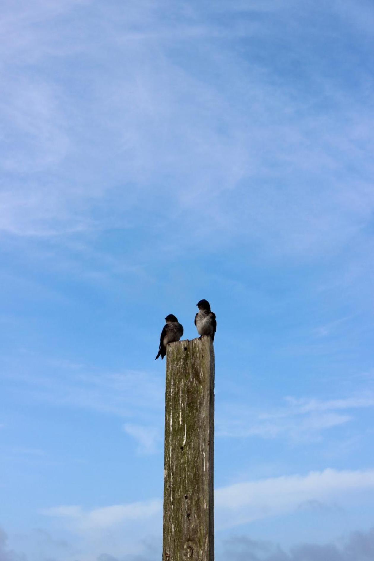 Posada El Pepe José Ignacio Esterno foto